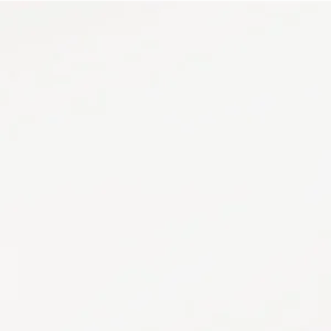 Meraki Porcelain Absolute White