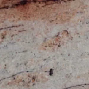 Meraki Granite Ivory Pearl